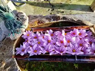 立志神社(滋賀県)