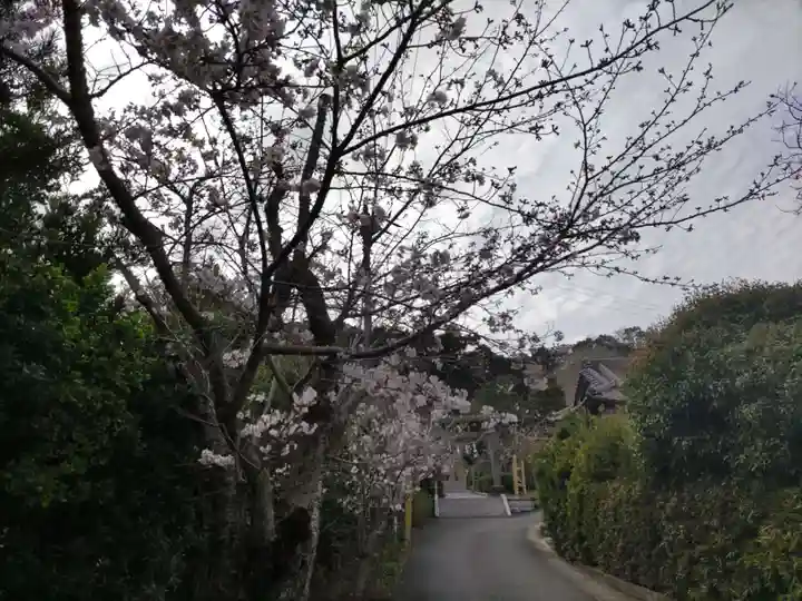 高家神社の自然