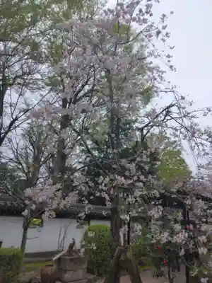 松月院(東京都)