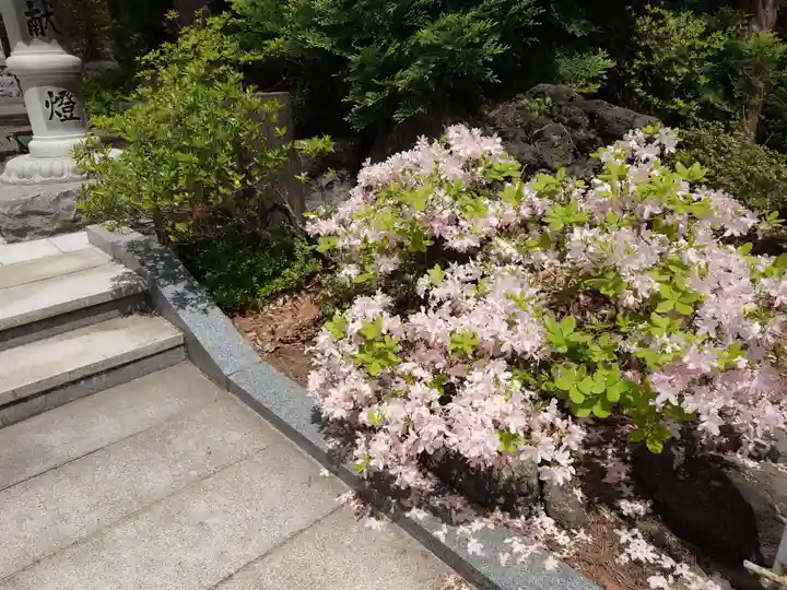 刈田神社(北海道)