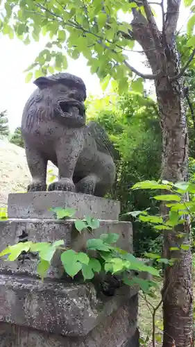 中富良野神社の狛犬