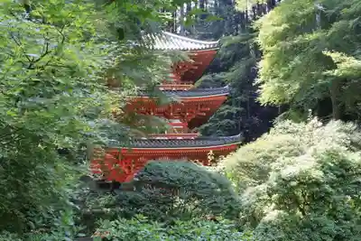 岩船寺(京都府)