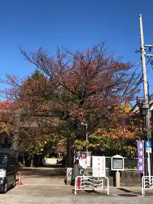 亀戸 香取神社(東京都)
