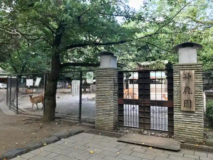 三嶋大社のその他建物