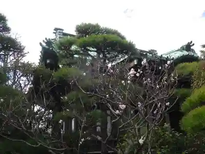 大巧寺のその他建物