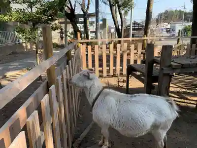 比呂佐和神社の動物