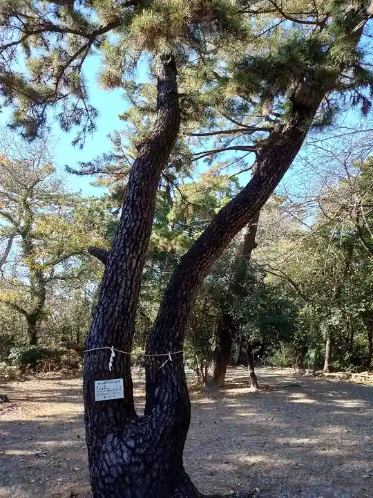 木庭八幡社(愛知県)