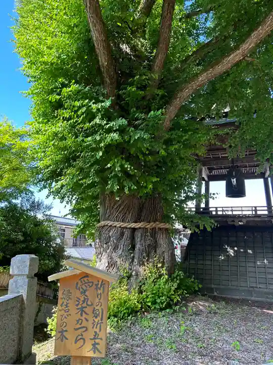 北向観音の自然