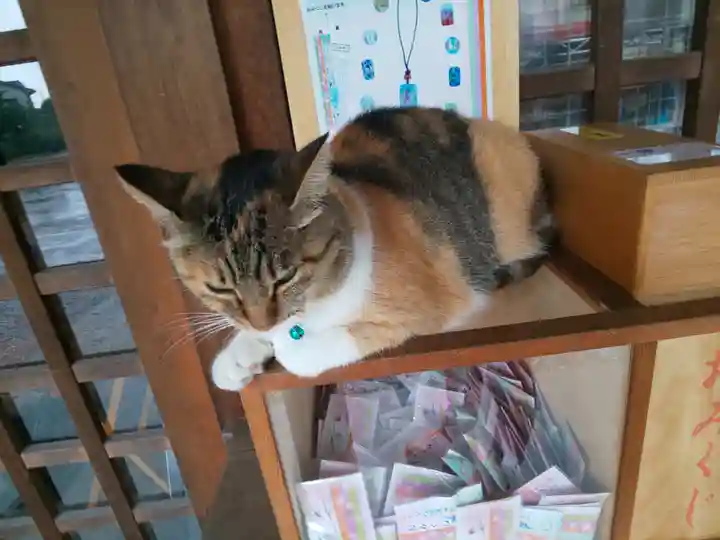 前玉神社の動物