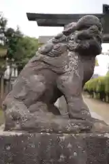 幸宮神社の狛犬