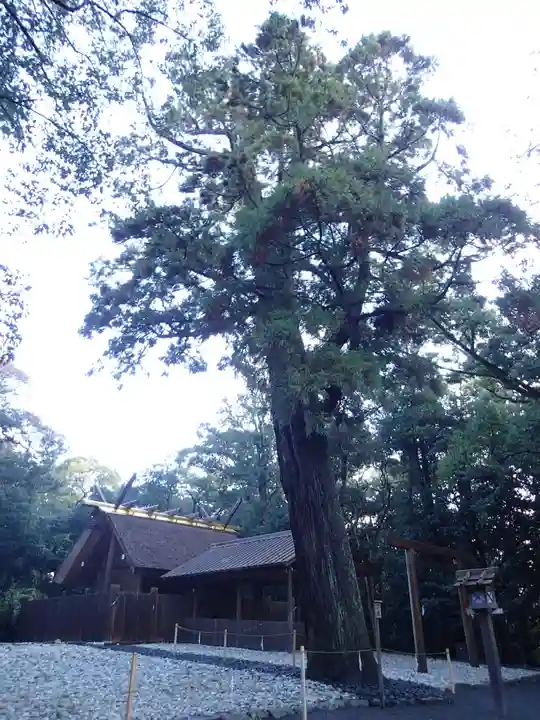 月夜見宮(豊受大神宮別宮)の自然