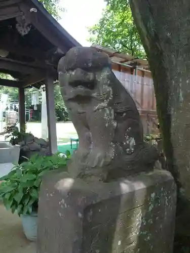 新倉氷川八幡神社の狛犬