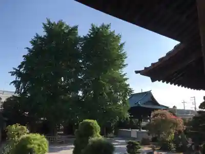長念寺のその他建物