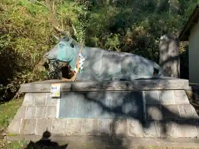 天満神社の狛犬