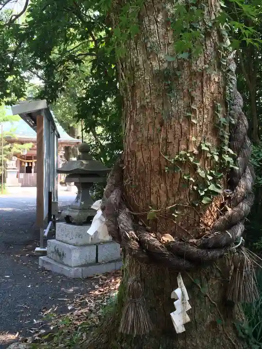 八幡古表神社(福岡県)