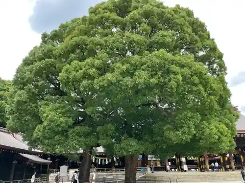 明治神宮(東京都)