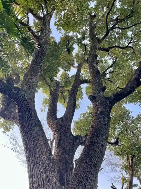 女塚神社の{uncategorized: "未分類", other: "その他", undefined: "問題あり", building: "その他建物", grave: "お墓", sacred_gate: "鳥居", guardian: "狛犬", statue: "像", buddha: "仏像", history: "歴史", nature: "自然", garden: "庭園", animal: "動物", pagoda: "塔", temizu: "手水舎", mountain_gate: "山門・神門", sanctuary: "本殿・本堂", subordinate: "末社・摂社", art: "芸術", scenery: "景色", jizo: "地蔵", ema: "絵馬", goshuin: "御朱印", omikuji: "おみくじ", items: "授与品その他", amulet: "お守り", goshuincho: "御朱印帳", eats: "食事", festival: "お祭り", votive_dance: "神楽", shichigosan: "七五三参", wedding: "結婚式", experience: "体験その他", initially: "初詣", around: "周辺", anti_infection: "感染症対策"}
