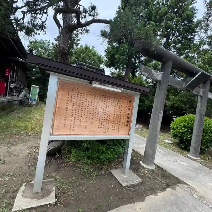 曽根神社(新潟県)