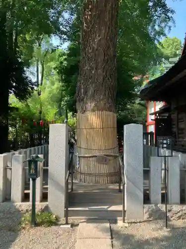 田無神社(東京都)