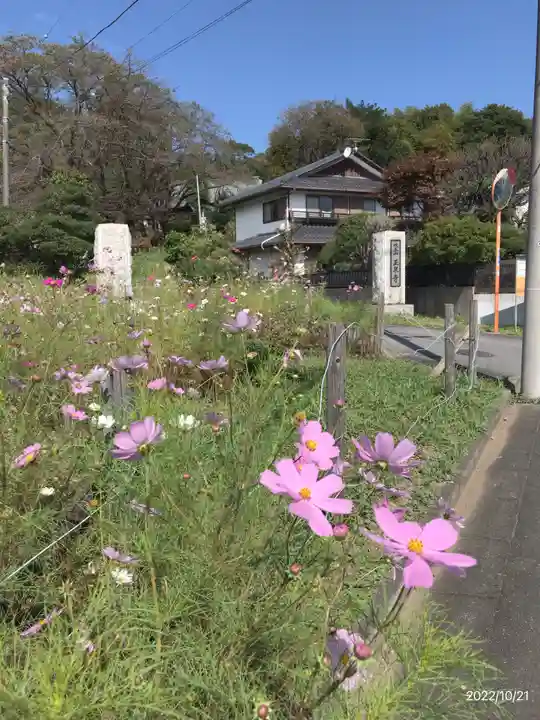 玉泉寺(東京都)