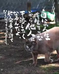 専念寺(大阪府)(2022年08月22日(月) 21時15分48秒投稿)