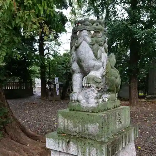 岩槻久伊豆神社の狛犬