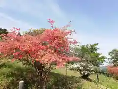 宝登山神社の自然