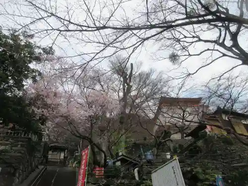 金剛宝寺（紀三井寺）(和歌山県)