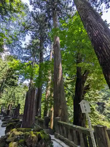 榛名神社(群馬県)
