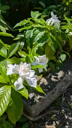 本法寺(京都府)