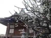 蓮心寺(静岡県)