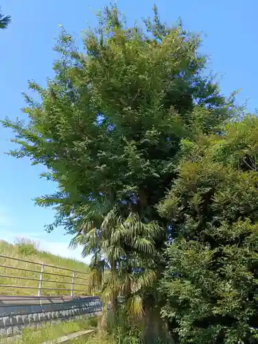 山王神社(茨城県)