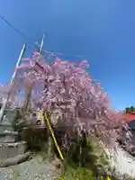 安養寺(福島県)