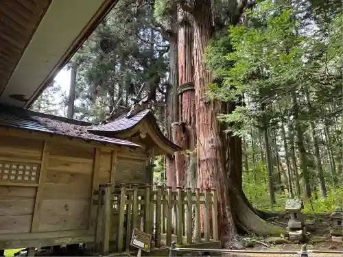 高倉神社(福島県)