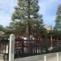 六波羅蜜寺の庭園