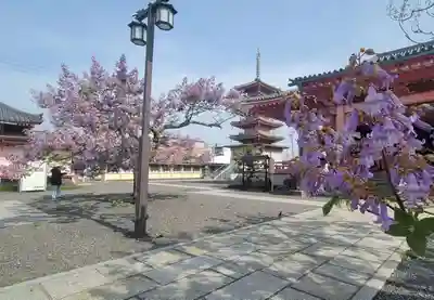 津観音のその他建物