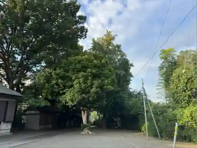 日吉神社(神奈川県)