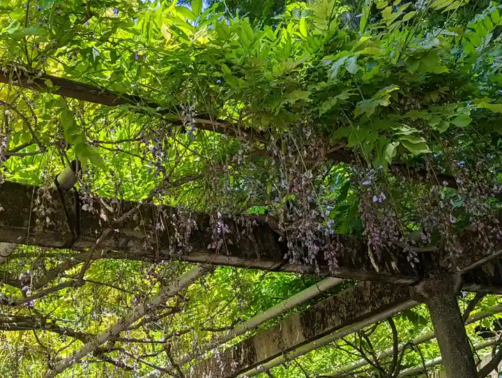立木神社(滋賀県)