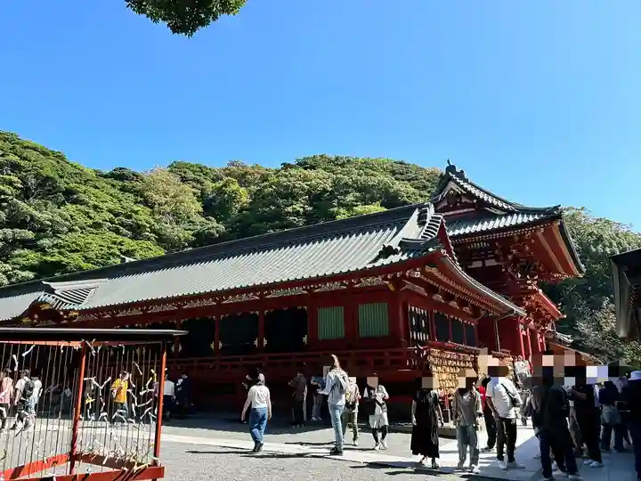 鶴岡八幡宮の本殿・本堂