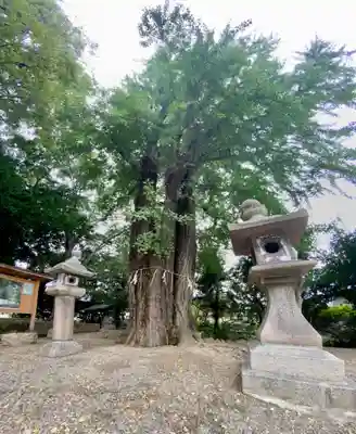 三栖神社(京都府)