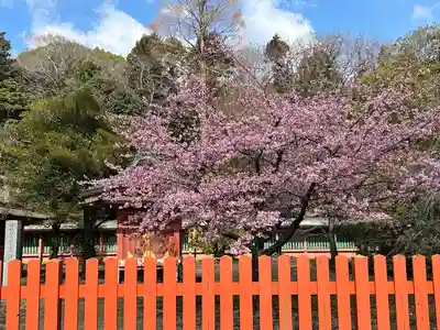富士山本宮浅間大社(静岡県)