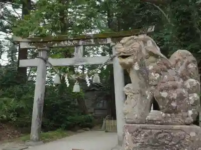 須須神社の狛犬