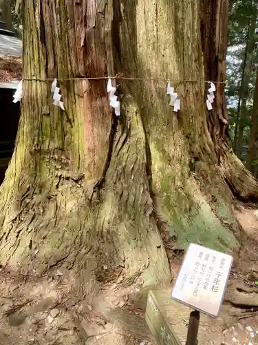 鷲子山上神社の自然