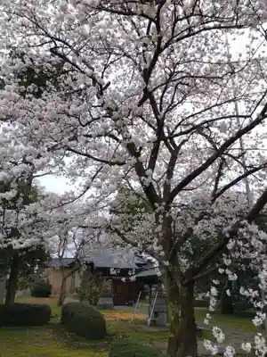 白山神社(福井県)