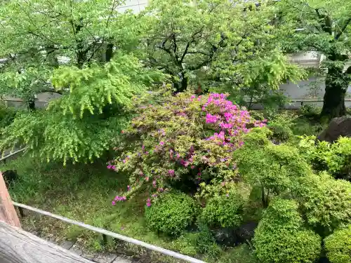 甲斐善光寺の{uncategorized: "未分類", other: "その他", undefined: "問題あり", building: "その他建物", grave: "お墓", sacred_gate: "鳥居", guardian: "狛犬", statue: "像", buddha: "仏像", history: "歴史", nature: "自然", garden: "庭園", animal: "動物", pagoda: "塔", temizu: "手水舎", mountain_gate: "山門・神門", sanctuary: "本殿・本堂", subordinate: "末社・摂社", art: "芸術", scenery: "景色", jizo: "地蔵", ema: "絵馬", goshuin: "御朱印", omikuji: "おみくじ", items: "授与品その他", amulet: "お守り", goshuincho: "御朱印帳", eats: "食事", festival: "お祭り", votive_dance: "神楽", shichigosan: "七五三参", wedding: "結婚式", experience: "体験その他", initially: "初詣", around: "周辺", anti_infection: "感染症対策"}