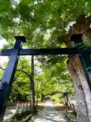 前山寺の建物その他