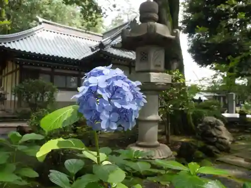 妙法寺の庭園