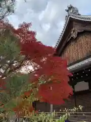 天龍寺(京都府)