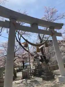 天鷹神社の鳥居(2022年04月01日(金) 17時04分40秒投稿)