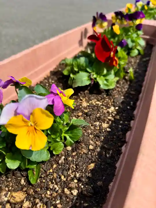 伊達神社(北海道)